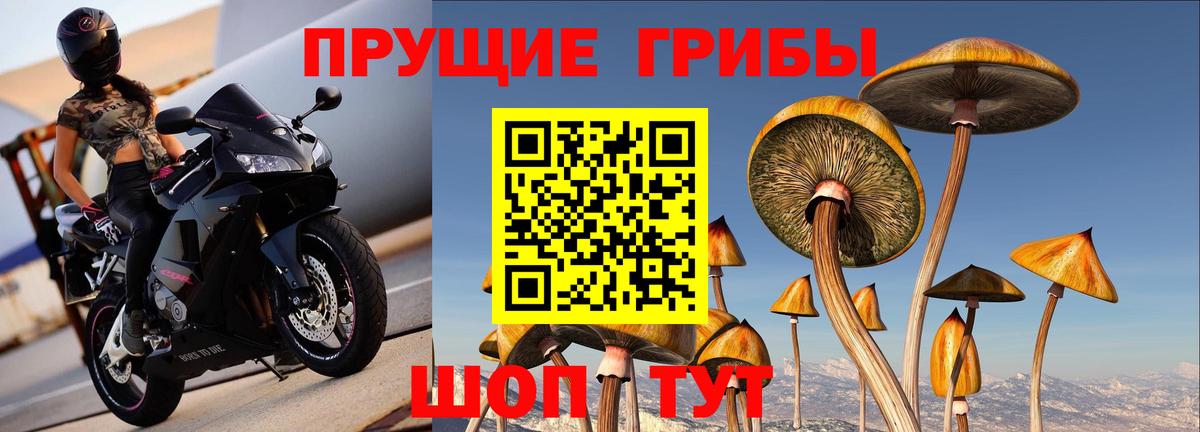 Галлюциногенные грибы мицелий  Вход с VPN  закладка  Гусь-Хрустальный  Псилоцибиновые грибы прущие грибы 