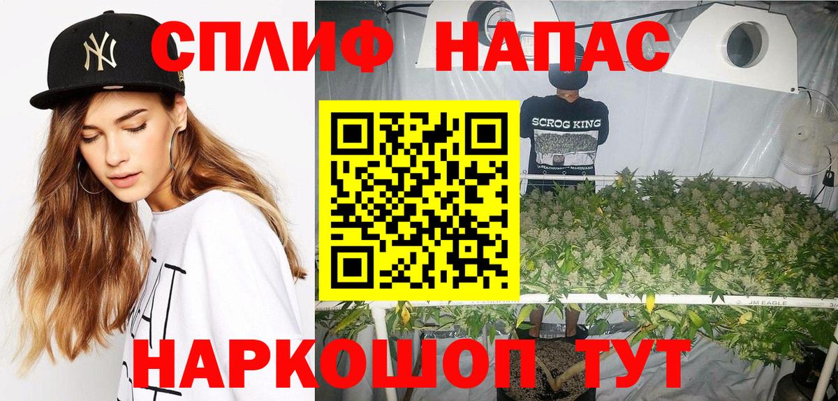 Гусь-Хрустальный  Бошки Шишки ГИДРОПОН  Вход с VPN  Каннабис марихуана  Канабис семена 